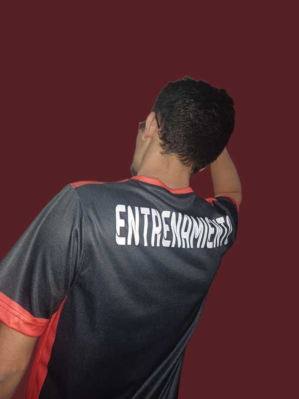 Camiseta entrenamiento
