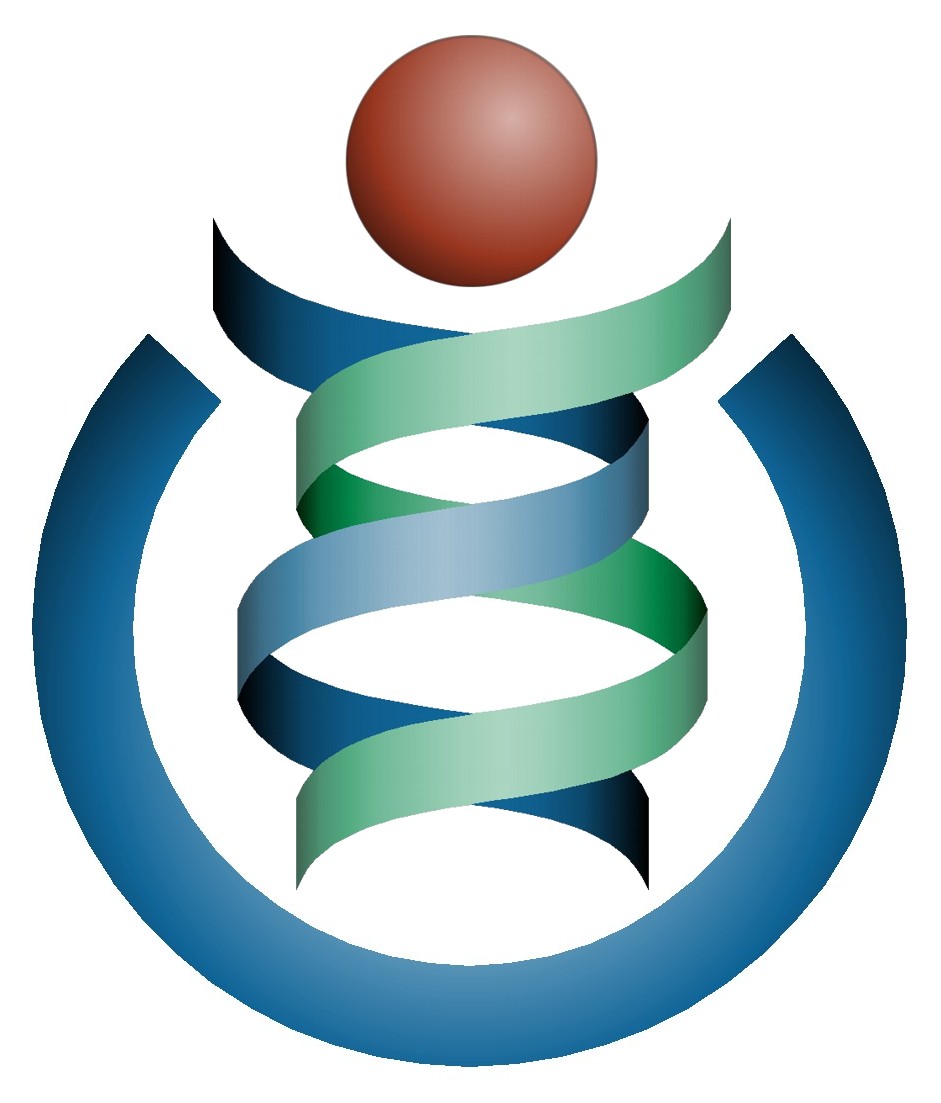 Partner 6